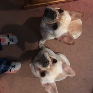 Meet your Posher, Amber